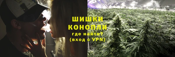 прущие крисы Кулебаки