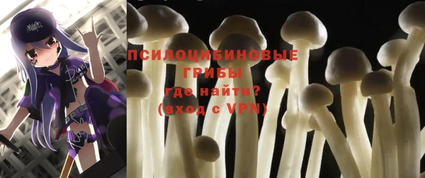 МДПВ Кукмор