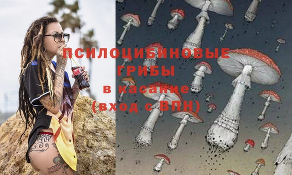 прущие крисы Кулебаки