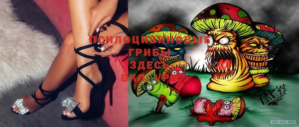прущие крисы Кулебаки