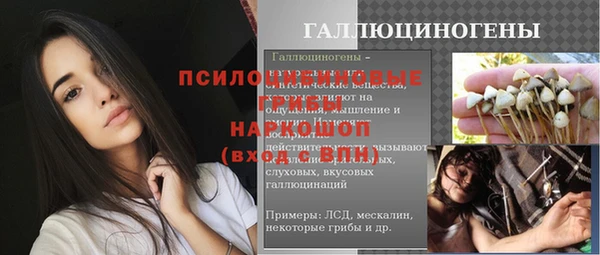 прущие крисы Кулебаки
