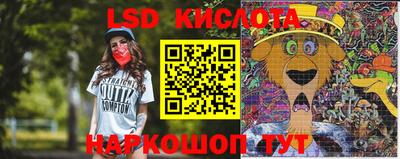 спиды Бийск