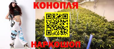 спиды Бийск