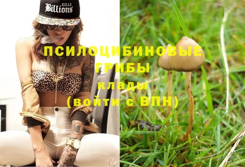 цены   Златоуст  Псилоцибиновые грибы MAGIC MUSHROOMS 