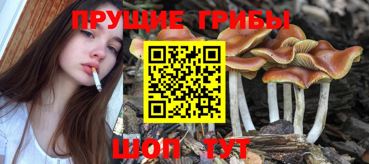 Галлюциногенные грибы ЛСД Златоуст