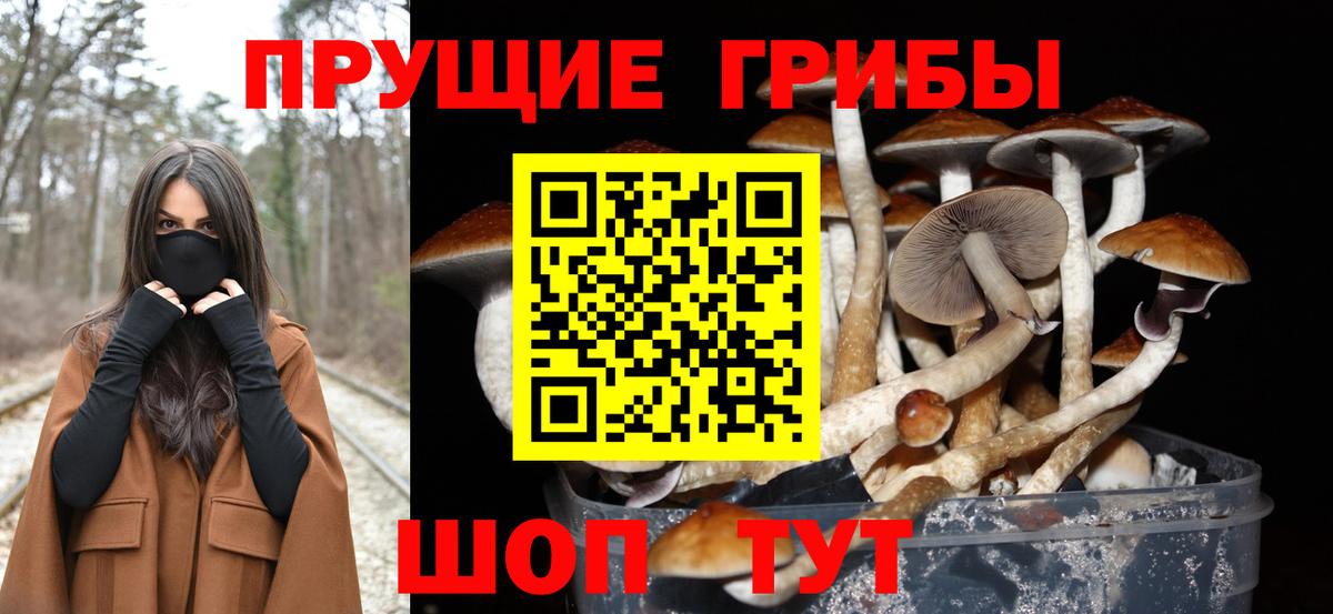 LSD-25 Златоуст