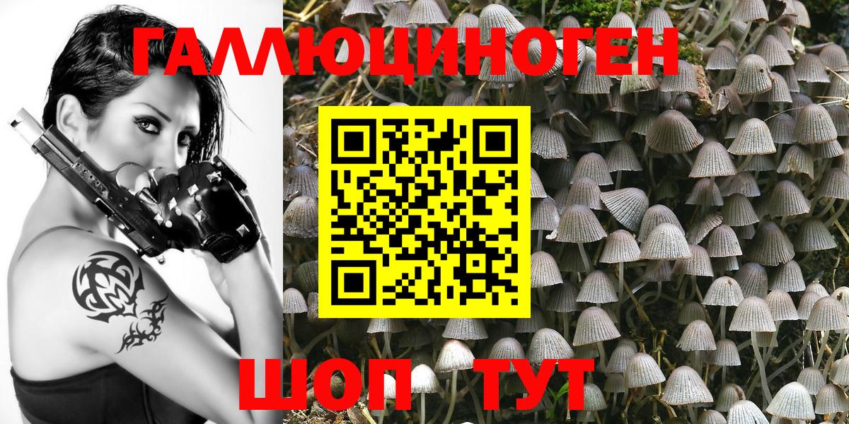 Псилоцибиновые грибы MAGIC MUSHROOMS  Златоуст  Галлюциногенные грибы Psilocybine cubensis 